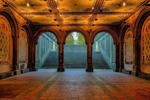 New York: #1 Central Park Pedicab Tour