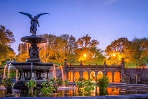 Tour guidato di 1 ora di Central Park Experience in Pedicab a New York