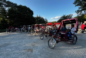 New York: 2 Stunden VIP Deluxe Central Park Pedicab Tour