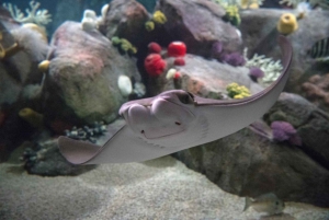 New York Aquariumin pääsylipun