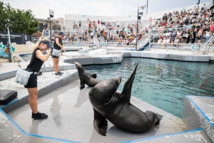 New York Aquariumin pääsylipun