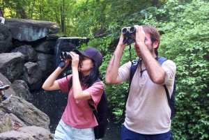 New York: Birdwatching Tour in Central Park