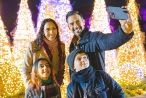 Jardín Botánico de Nueva York: Holiday Train Show & Glow Tickets