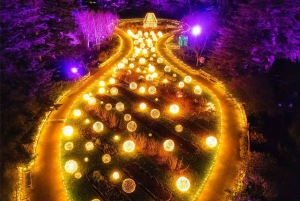 Jardin botanique de New York : Billets pour le Holiday Train Show & Glow