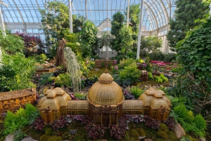 New Yorker Botanischer Garten: Holiday Train Show & Glow Tickets