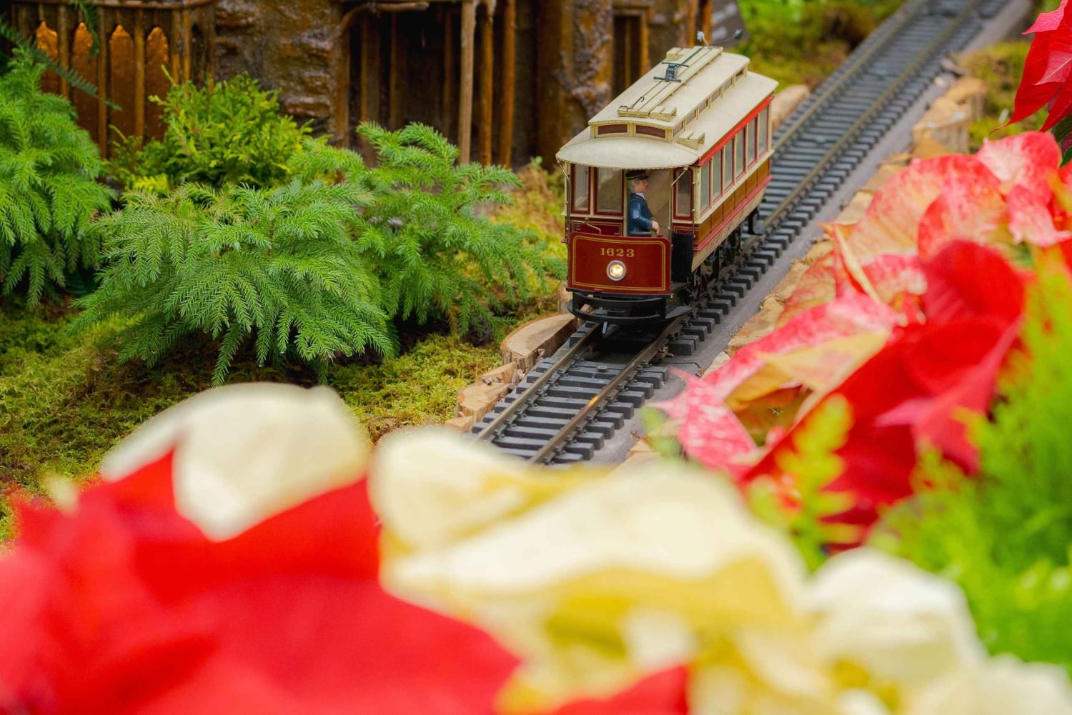 Jardín Botánico de Nueva York: Espectáculo de trenes navideños