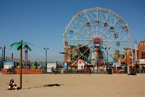 Nueva York: Visita al Puente de Brooklyn, DUMBO y Coney Island