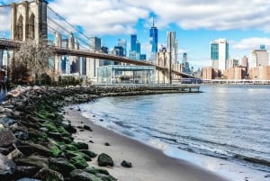 Nueva York: Visita al Puente de Brooklyn, DUMBO y Coney Island