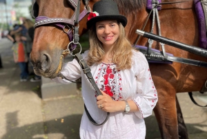 New York: Carriage Ride in Central Park