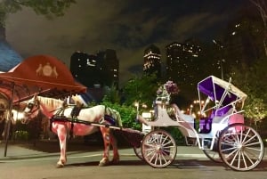 New York: Carriage Ride in Central Park