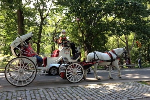 New York: Carriage Ride in Central Park