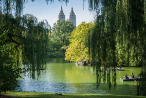 New York: Carriage Ride in Central Park