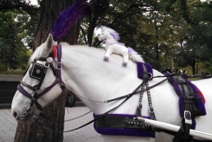 New York: Carriage Ride in Central Park