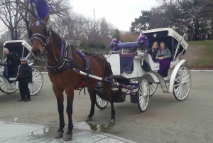 New York: Carriage Ride in Central Park