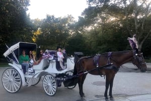 New York: Carriage Ride in Central Park