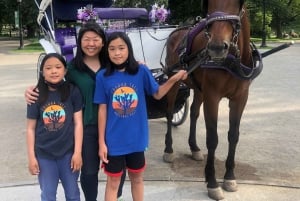 New York: Carriage Ride in Central Park