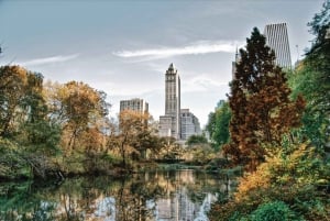 New York - Central Park Central Park - Guidad promenad