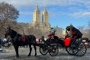 NYC: Yksityinen hevoskärryajelu Central Parkissa