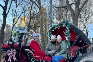 NYC: Yksityinen hevoskärryajelu Central Parkissa