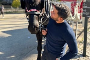 NYC: Yksityinen hevoskärryajelu Central Parkissa