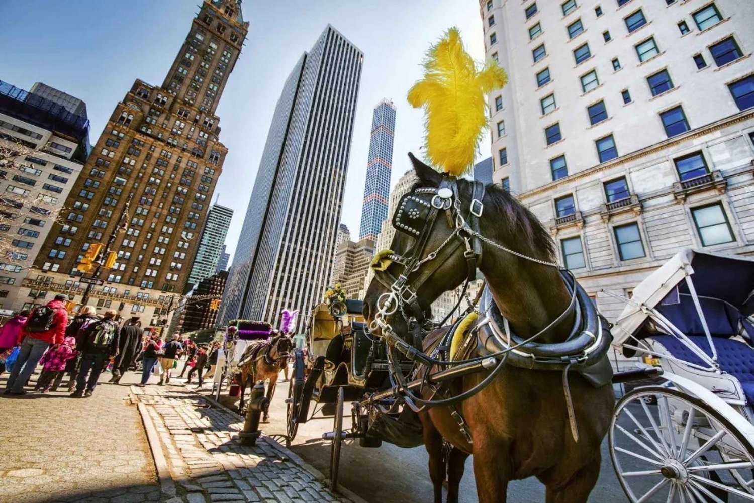 Guidet tur i Central Park og NYC-hestevogn