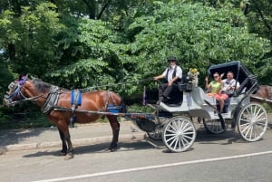 Guidet tur i Central Park og NYC-hestevogn