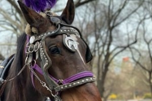 Guidet tur i Central Park og NYC-hestevogn