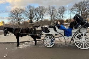 Guidet tur i Central Park og NYC-hestevogn