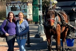 Guidet tur i Central Park og NYC-hestevogn