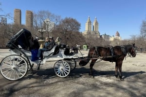 Guidet tur i Central Park og NYC-hestevogn