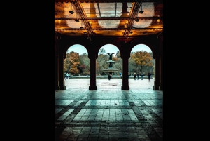 New York: Tour guidato dei punti di riferimento letterari di Central Park