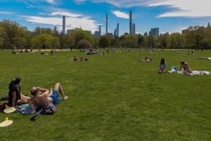 New York: Tour guidato dei punti di riferimento letterari di Central Park