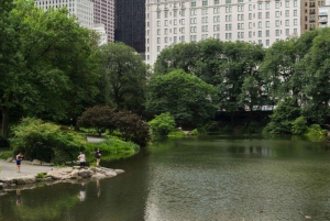 New York - Central Park Central Park Filmplatser Rickshaw Tour