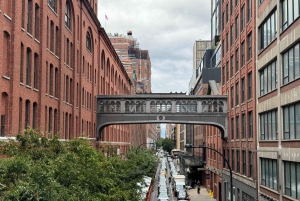 New York Chelsea og High Line Kunst- og arkitekturtur