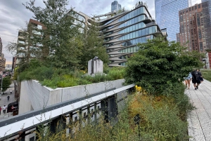 New York Chelsea og High Line kunst- og arkitekturtur