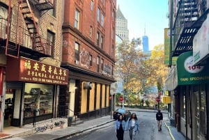 New York: Chinatown og Little Italy Food Tour