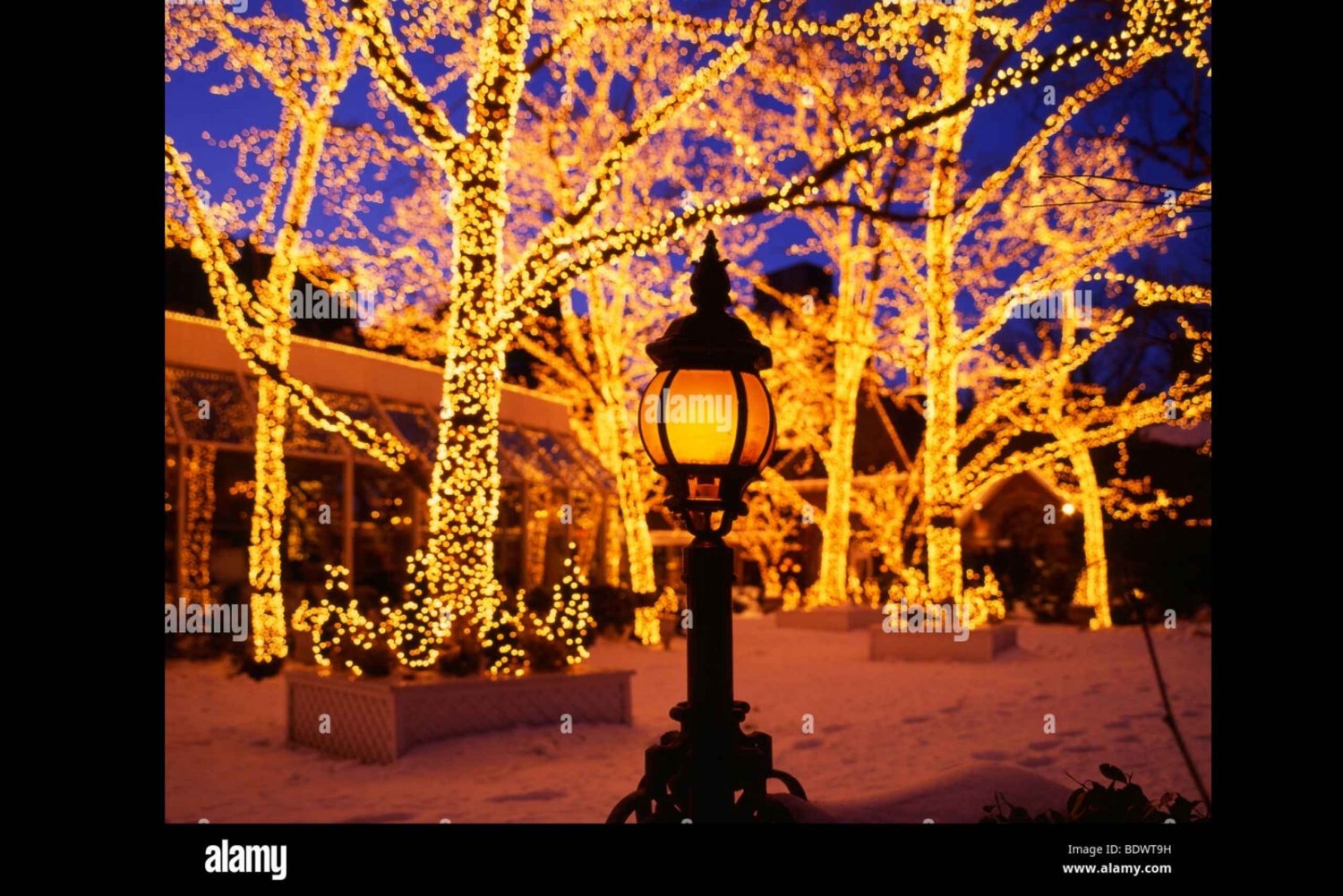 NYC: Christmas in New York Guided Tour + Moulin Rouge Ticket