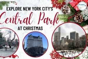 Jul i Central Park: Hestevognstur i julen