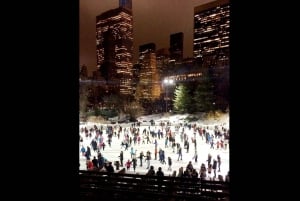 Jul i Central Park: Hestevognstur i julen