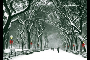 Jul i Central Park: Hestevognstur i julen