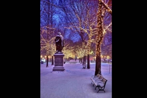 Jul i Central Park: Hestevognstur i julen