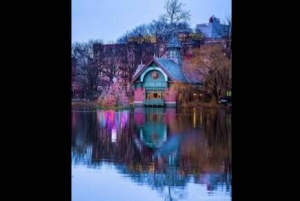 Jul i Central Park: Hestevognstur i julen