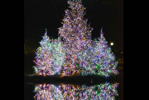 Jul i Central Park: Hestevognstur i julen