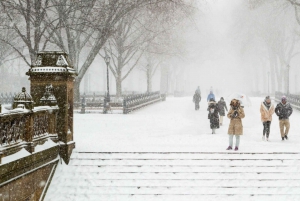 Jul i Central Park: Hestevognstur i julen