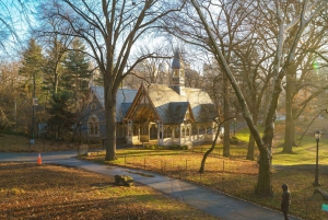 Jul i Central Park: Hestevognstur i julen