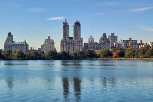 New York City: Cykeluthyrning hela dagen och picknick i Central Park