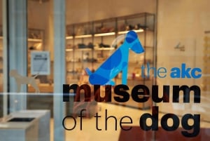 New York City: Attraction Pass mit Sehenswürdigkeiten, die man gesehen haben muss