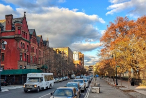 NEW YORK CITY: CENTRAL HARLEM Private Tour zu Fuß