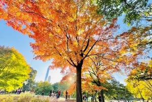 New York City: Tour in bicicletta di Central Park e opzione E-Bike