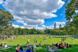 Nueva York: tour en bicitaxi por Central Park con Gossip Girl